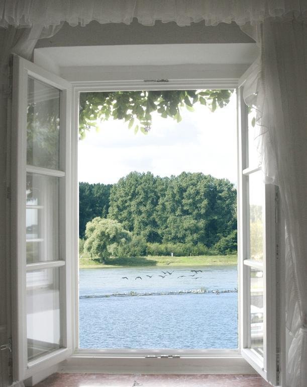 Rhein River Guesthouse - Direkt Am Rhein Leverkusen Eksteriør bilde