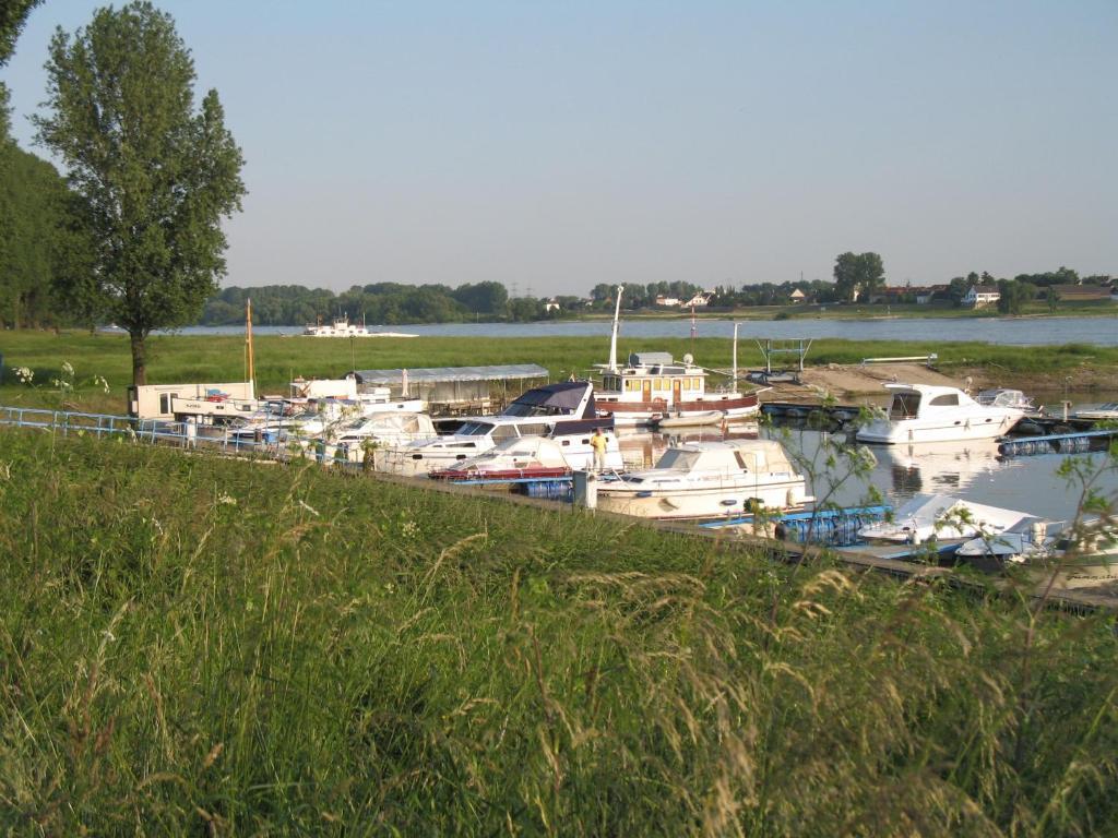 Rhein River Guesthouse - Direkt Am Rhein Leverkusen Eksteriør bilde