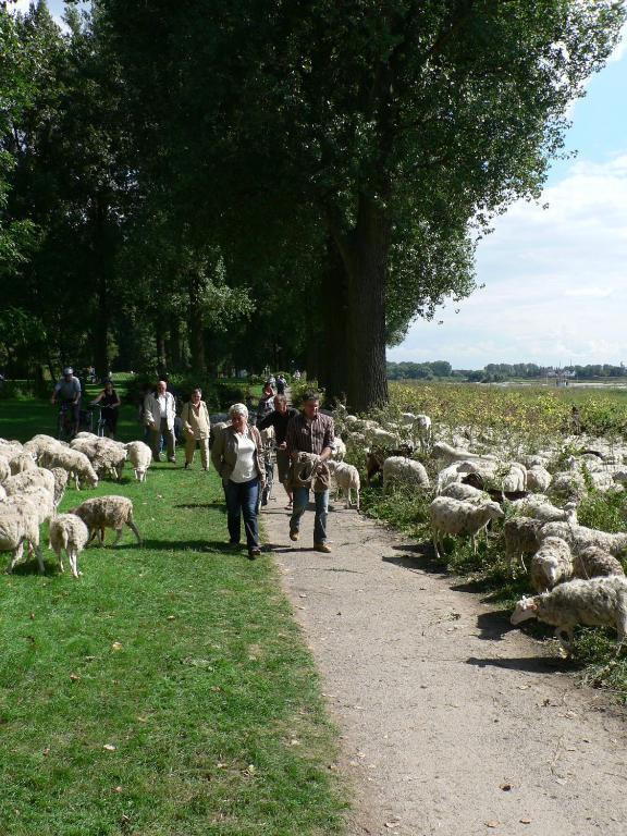 Rhein River Guesthouse - Direkt Am Rhein Leverkusen Eksteriør bilde