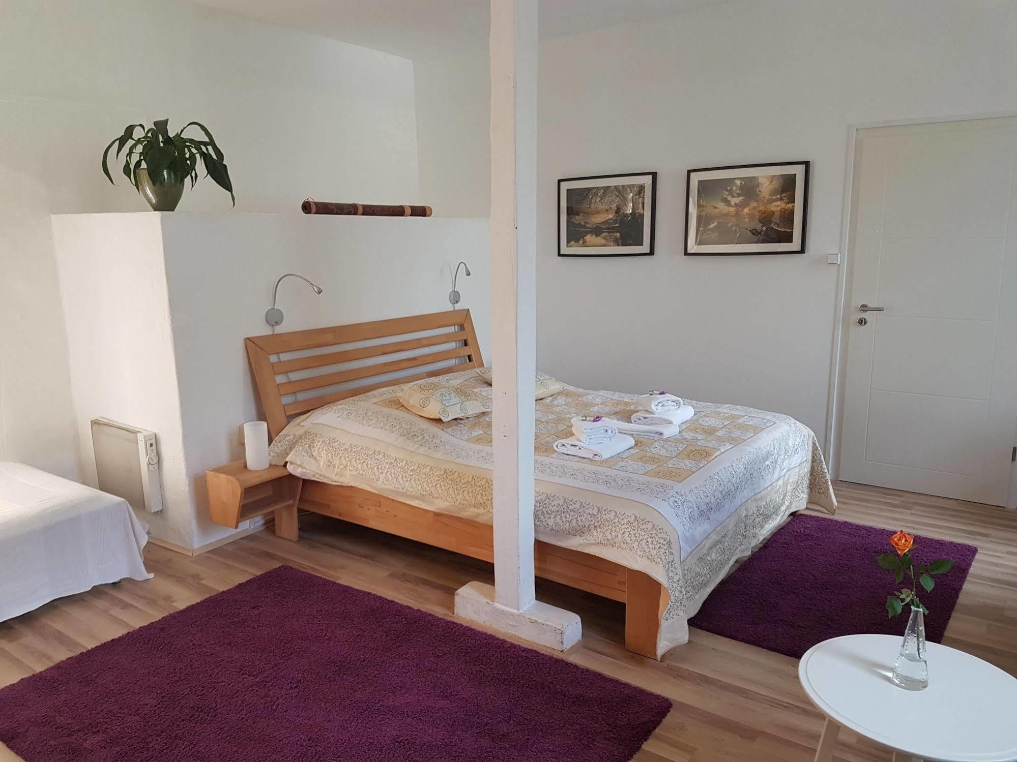 Rhein River Guesthouse - Direkt Am Rhein Leverkusen Eksteriør bilde