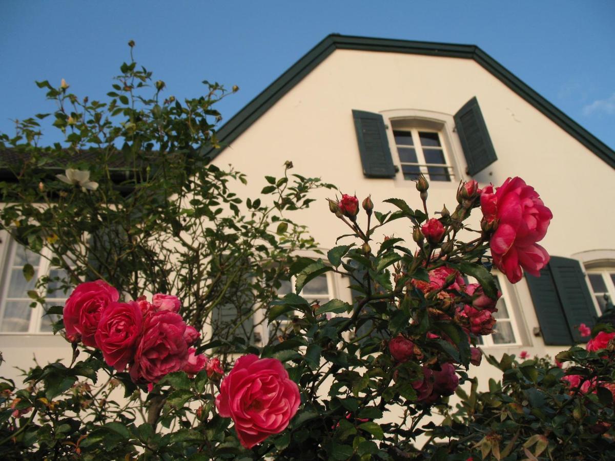 Rhein River Guesthouse - Direkt Am Rhein Leverkusen Eksteriør bilde